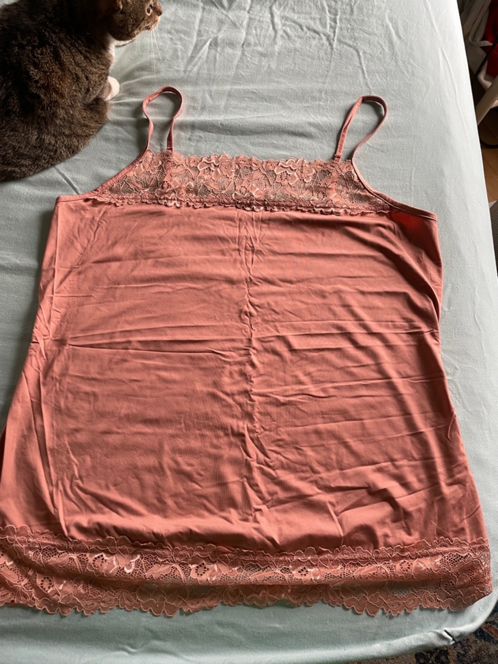 Maurices Dusty Rose Lace-Trim Camisole